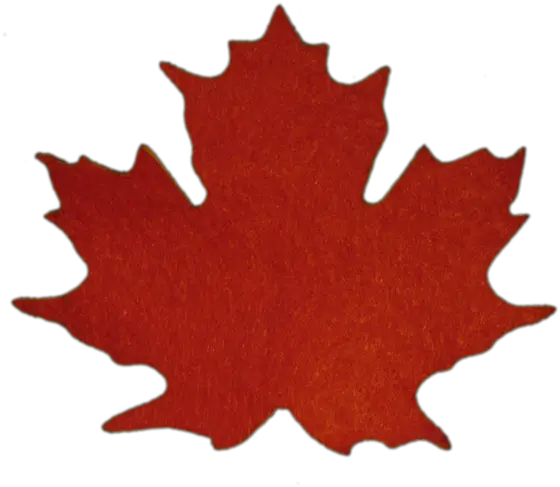 Maple Leaves Sugar Maple Leaf 587x500 Png Clipart Download Flag Maple Leaf Canada Maple Tree Png