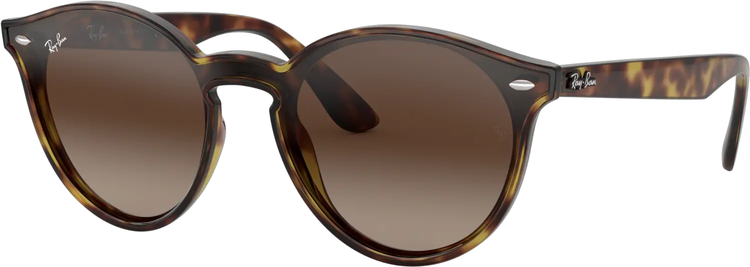 Ray Ban Blaze Rb4380n Coach Polarized Sunglasses Women Png Ray Bans Png