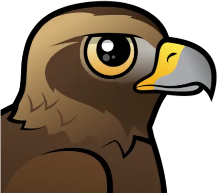Cute Golden Eagle By Birdorable U003c Meet The Birds Golden Eagle Cartoon Eagle Head Png Golden Eagle Png