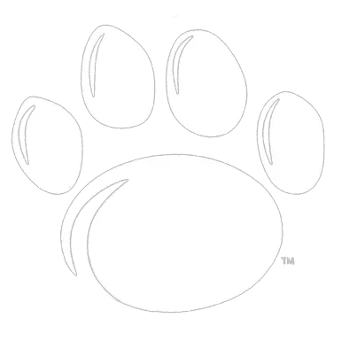 White Paw Penn State Paw Print Full Size Png Download Circle Paw Print Png