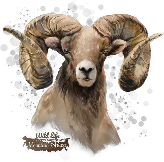 Sheep Transparent Background Png Arts Big Horn Sheep Png Sheep Png