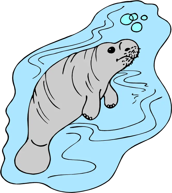 Manatee Clipart Cliparts And Others Art Inspiration Manatee Png Manatee Png