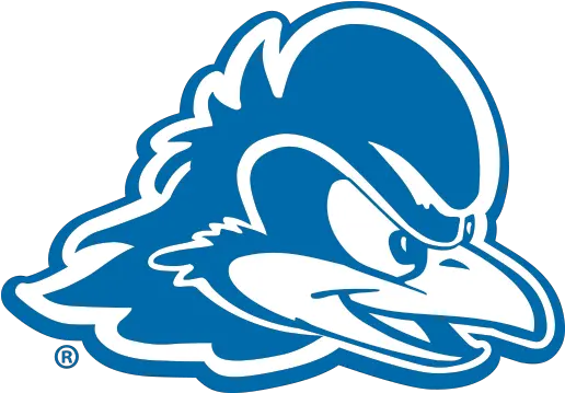 Ocm Icon Branding University Of Delaware Blue Hen Png University Of Miami Icon
