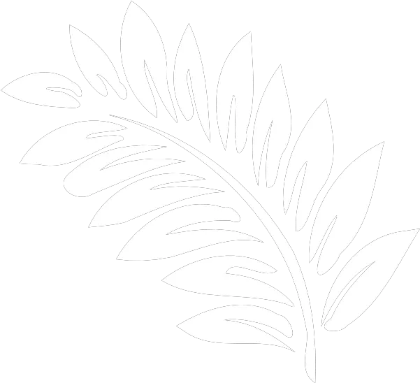 Fern Clip Art Vector Clip Art Online Royalty White Fern Clipart Png Fern Png