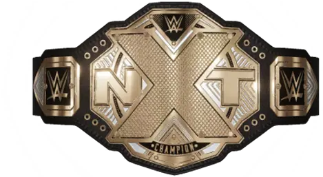 Wwe 2k18 All Championship Titles Nxt Womens Championship Png Wwe 2k18 Logo Png