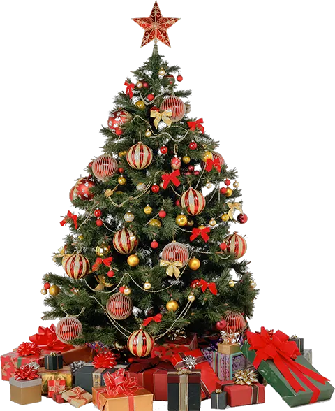 Lighted Christmas Tree Png