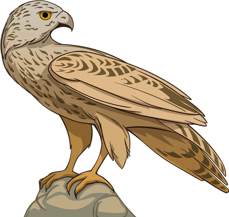 Hawk Clipart Falcon Png Hawk Png