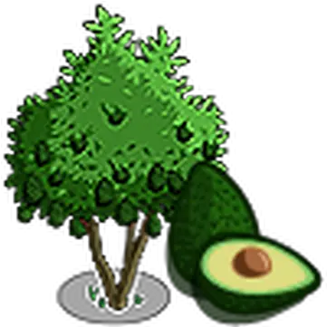 Avocado Tree Farmville Wiki Fandom Hass Avocado Png Avocado Icon