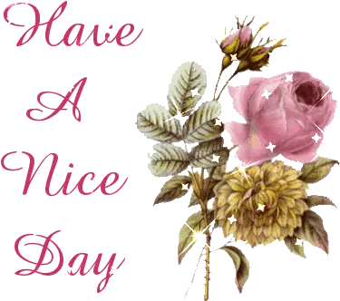 Upload Stars 629 Have A Nice Day Pink Flowers Sparkle Good Morning Wishes Gif Download Png Transparent Pink Flowers