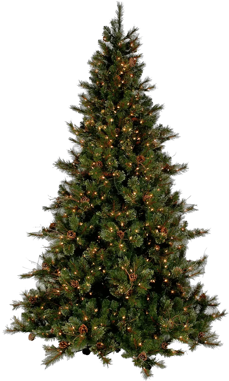 Christmas Tree Top Png