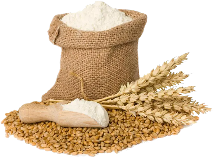 Flour Clipart Wheat Flour Png Wheat Transparent