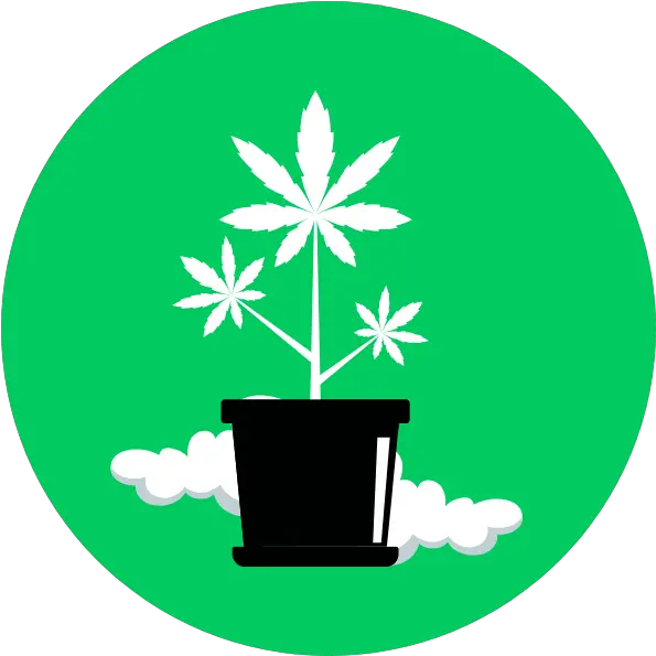 Our Story Cloud 9 Medicinal Language Png Marijuana Plant Icon