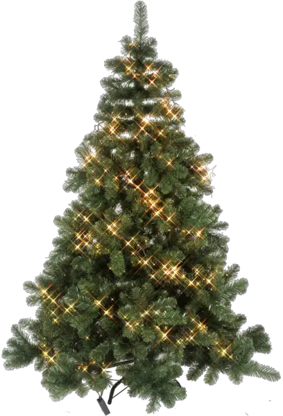 Christmas Tree Png Free Download