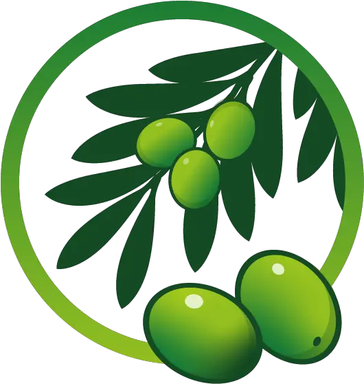 Bonderm 10 Olive Cosmetics Quimivita Fresh Png Cosmetics Icon Vector