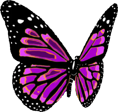 Butterfly Transparent Stickers For Flying Butterfly Clipart Gif Png Butterfly Transparent
