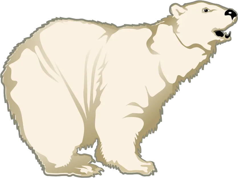 Polar Bear Clipart Polar Bear Clipart Transparent Png Polar Bear Transparent Background