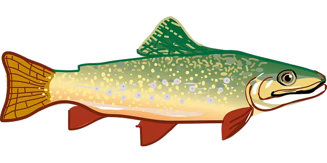 Salmon Trout Clip Art Free Vector 4vector Wikiclipart Trout Clipart Png Salmon Png