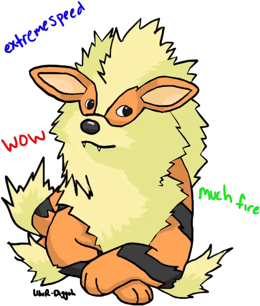 Doge Arcanine Know Your Meme Shiba Inu Meme Png Arcanine Png