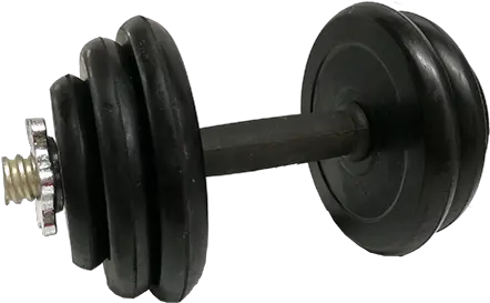 6kg Rubber Dumbell Dumbbell Png Dumbell Png