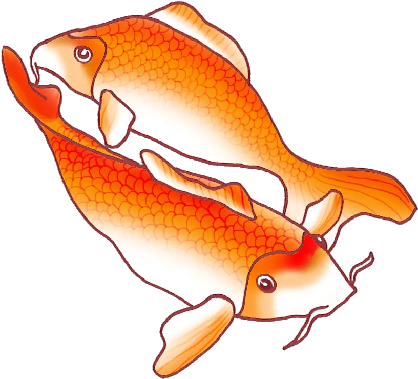 Png Image Transparent Fish Png Drawing Koi Fish Png