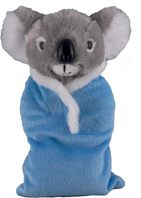 Koala Bear Stuffed Animal Png Sleeping Bag Koala Koala Bear Png