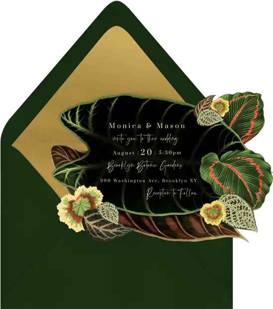 Exotic Tropical Leaves Invitations In Red Greenvelopecom Laceleaf Png Tropical Leaves Png