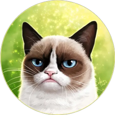 Imattpro Matt Friedman Github Grumpy Cat Png Grumpy Cat Icon