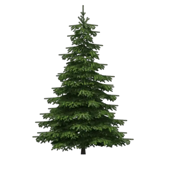 Watercolor Christmas Tree Png