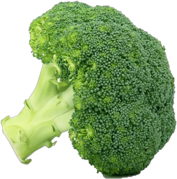 Products U2014 Cornerstone Produce Group Broccoli Brócoli Png Broccoli Png