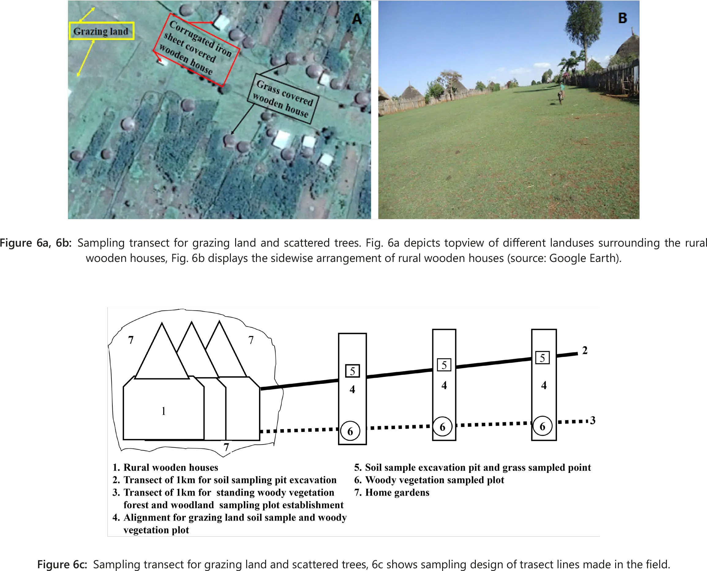 Carbon Storage Of Wooden Houses Trees And Grazing Land In Diagram Png Grass Top View Png