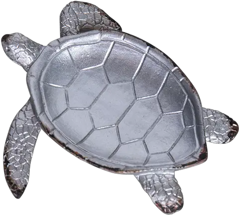 Turtle Soap Holder Green Sea Turtle Png Cute Turtle Png