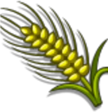 Australian Wheat Farmville Wiki Fandom Vertical Png Wheat Icon Png