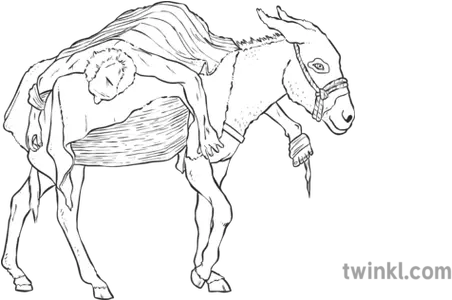 Bible Man Good Samaritan On Donkey Coloring Page Donkey Png