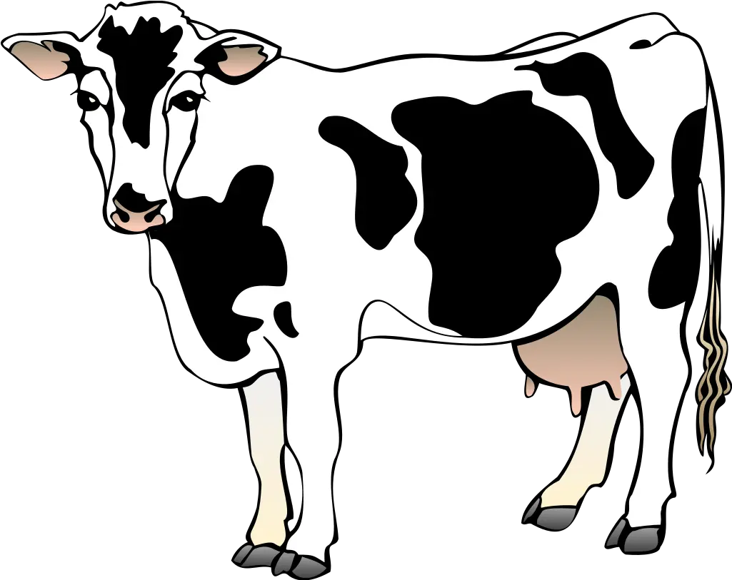 Got Milk Cow Clip Art Cow Clipart Png Got Milk Png