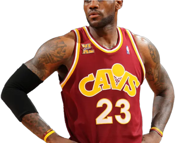 Download Lebron James Clipart Cavs Lebron James With A Wig Png Lebron Png