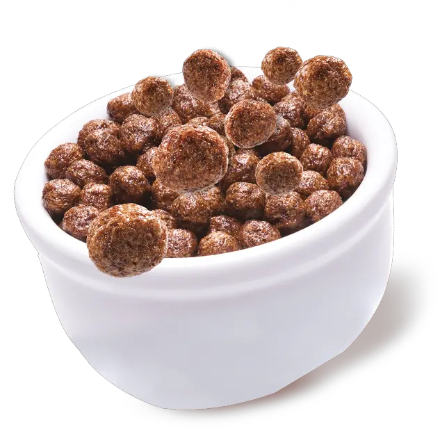 Breakfast Cereals Chocolate Cereal Bowl Png Bowl Of Cereal Png