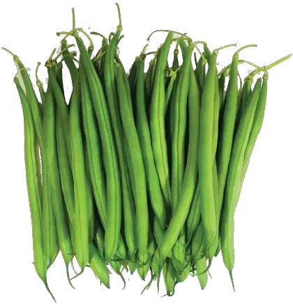 Green Bean Png Transparent Background Green Beans Png Beans Png