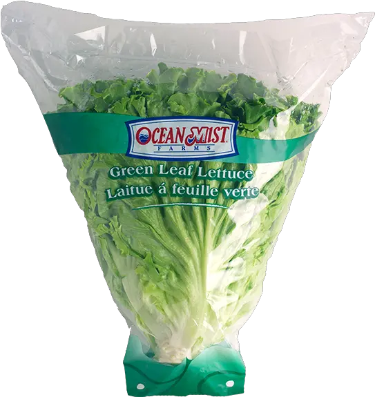 Leaf Lettuce Png Transparent