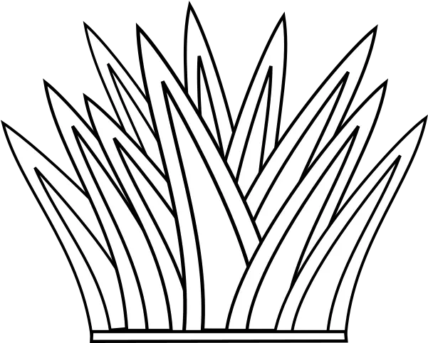 Bush Plant Outline Clip Art Vector Clip Art Line Art Png Bush Plant Png