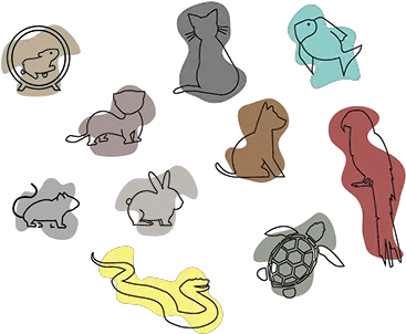 Monika Barciok Animal Figure Png Monika Icon