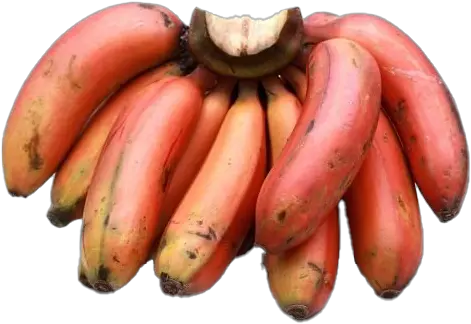 Red Banana Red Banana Images Hd Png Banana Png