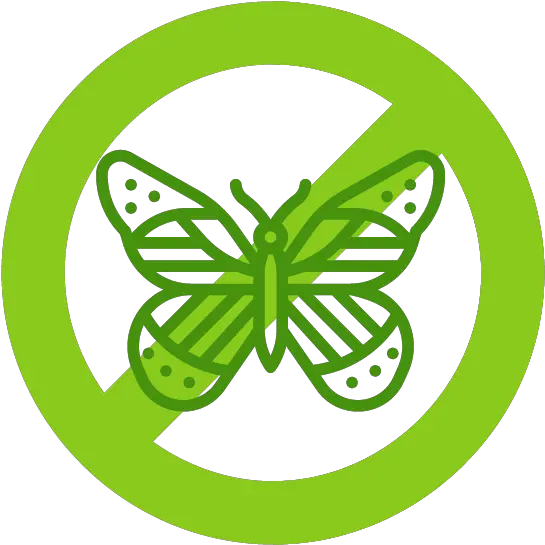 Buddleia Japanese Knotweed Ltd Girly Png Colorful Butterfly Icon