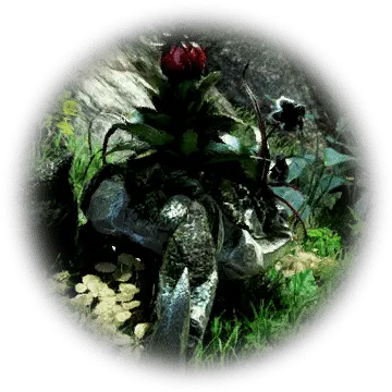 Black Moss Stoneback Crab Bdo Codex Rose Png Moss Icon