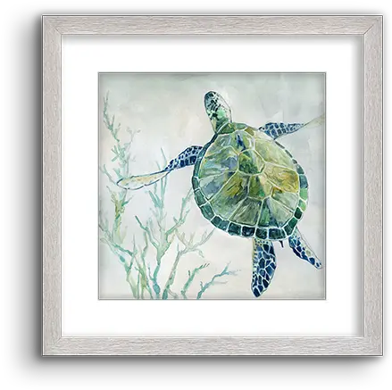 Green Watercolor Turtle 02 Green Sea Turtle Png Green Watercolor Png