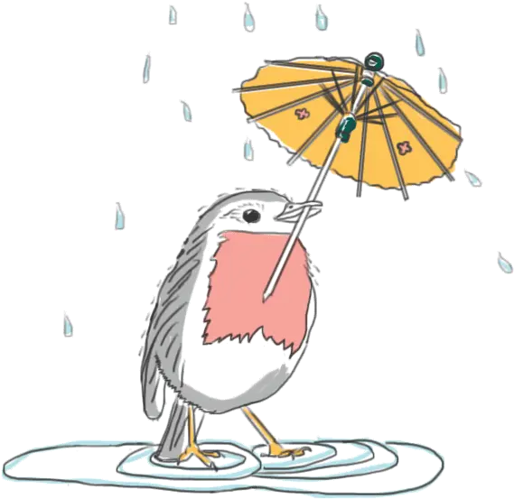 Robin Birdy In The Rain By Kate Brandy Cartoon Png Rain Png Gif