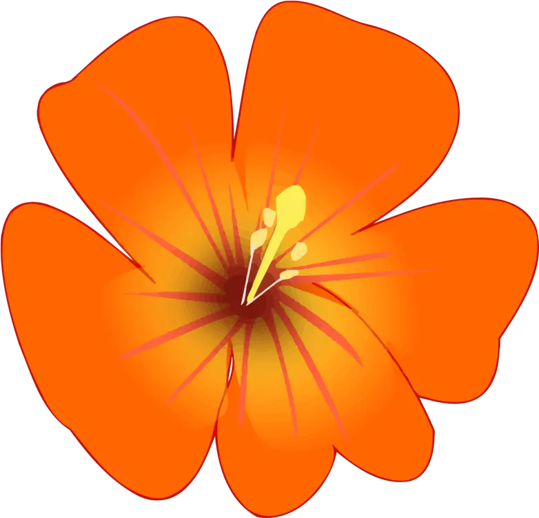 Hibiscusplantflower Png Clipart Royalty Free Svg Png Geranium Hibiscus Flower Png