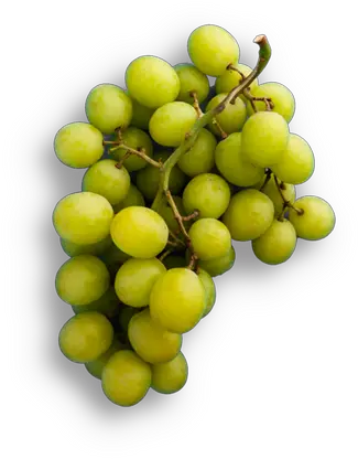 Divino Scamorza Green Grapes Transparent Kitchen Diamond Png Grapes Transparent