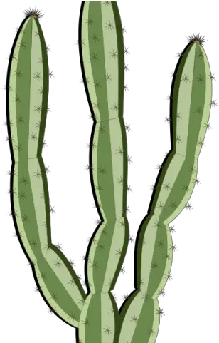Plants Clipart Cacti Mandacaru Gif Png Cactus Transparent