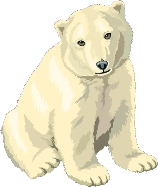 Polar Bear To Use Hd Photo Clipart Png Polar Bear Clip Art Polar Bear Png