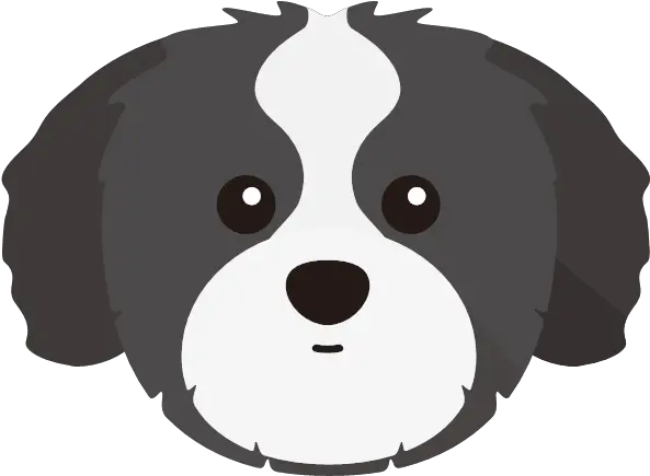 Personalised Shih Tzu Dog Bowls Yappycom Transparent Shih Tzu Cartoon Png Pet Bowl Icon